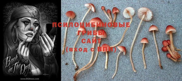 альфа пвп Белокуриха